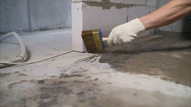 24/7 Emergency Wet Basement Repair experts in Kodak, TN